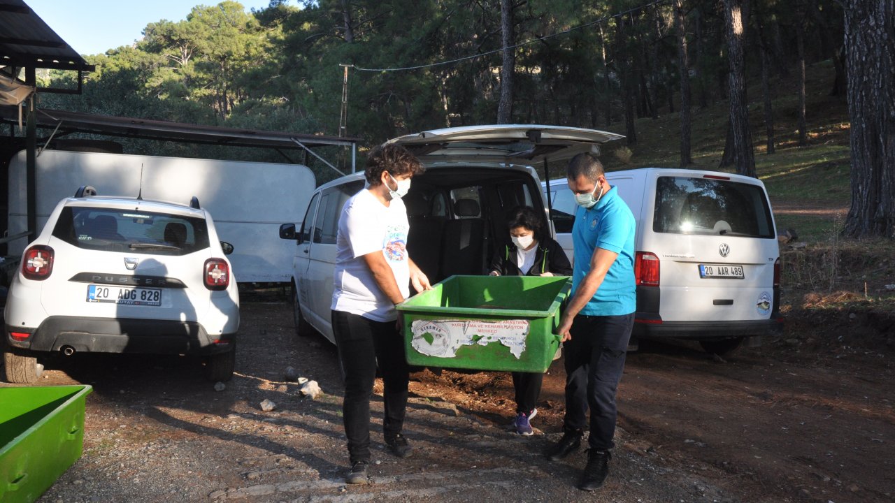 Antalya'da yaralı halde bulunan caretta caretta Muğla'da tedavi ediliyor