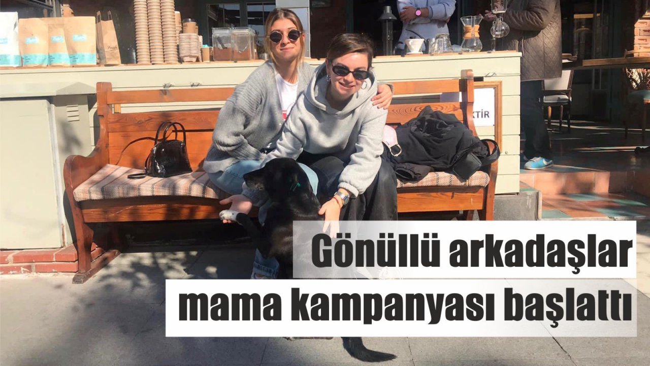 Gönüllü arkadaşlar, mama kampanyası başlattı