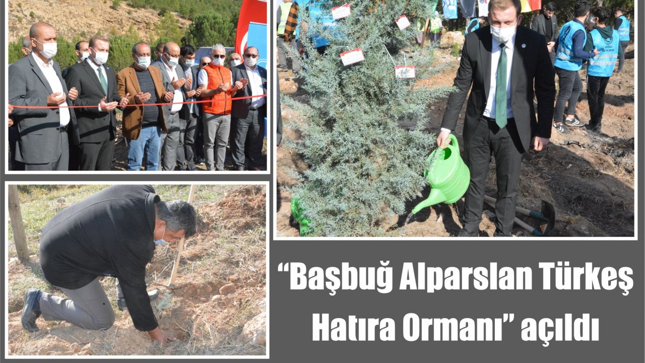 “Başbuğ Alparslan Türkeş Hatıra Ormanı” açıldı