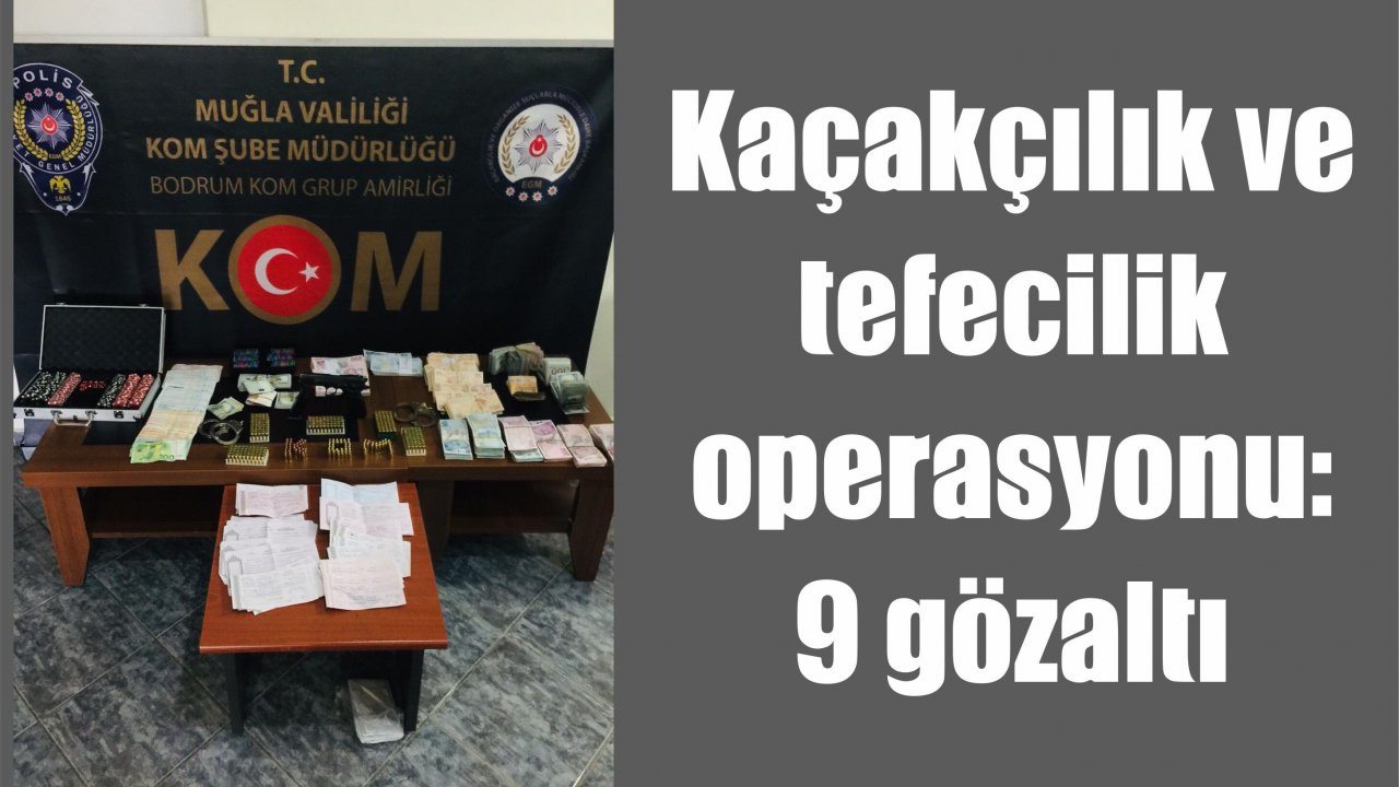 Kaçakçılık ve tefecilik operasyonu: 9 gözaltı