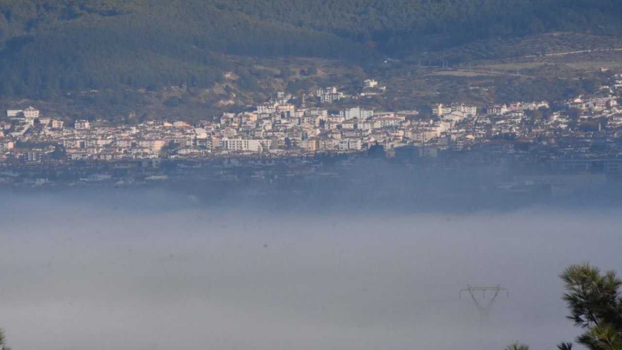 Muğla'da sis etkili oldu