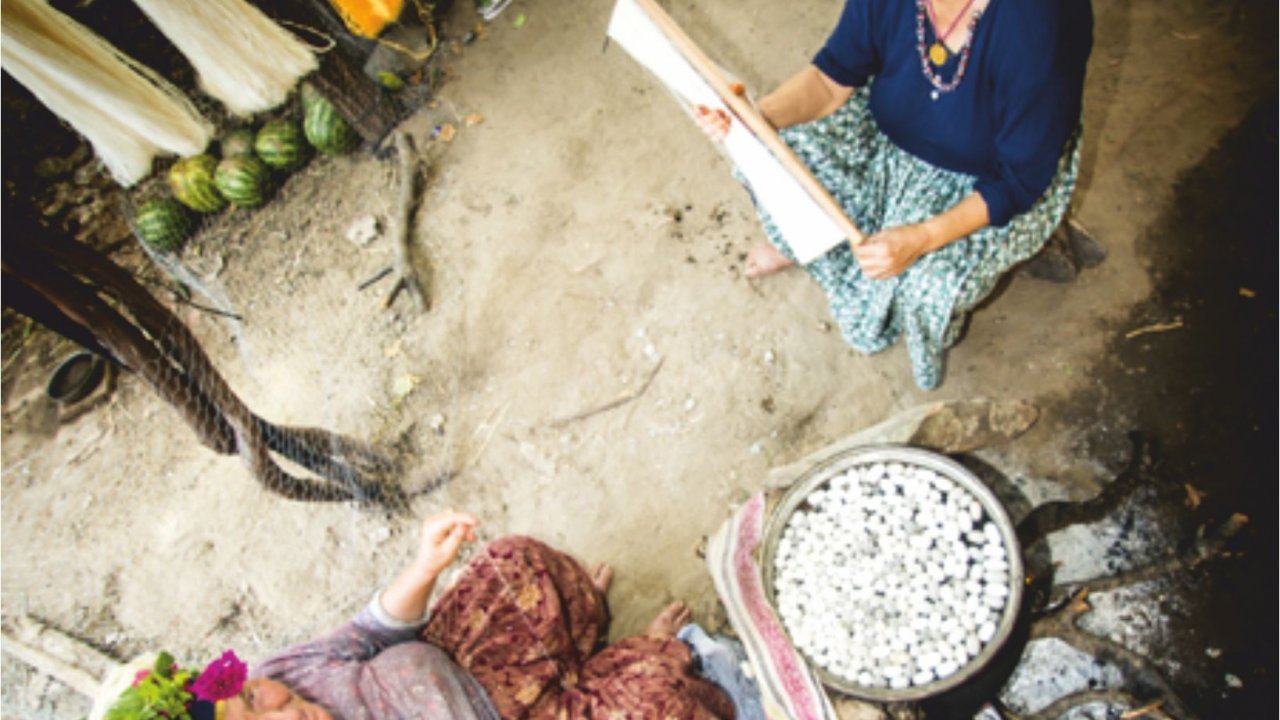 Ev ekonomisine İpekböceği desteği