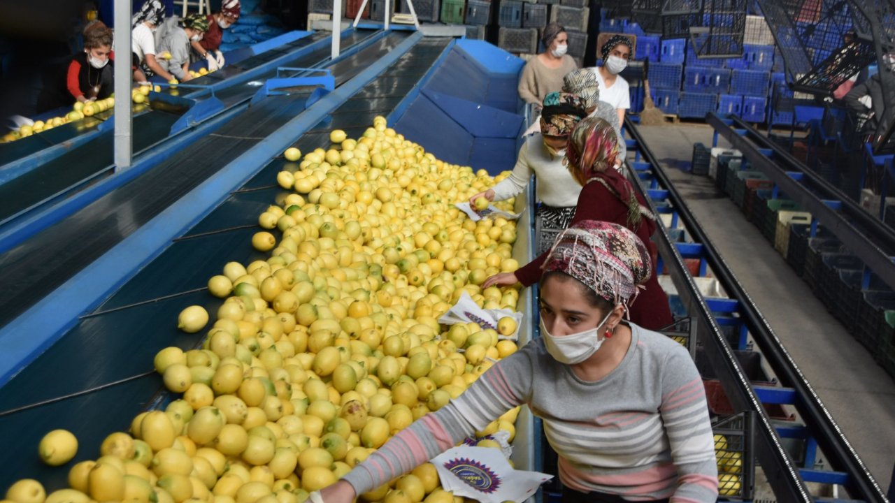 Pandemi pazarı etkiledi