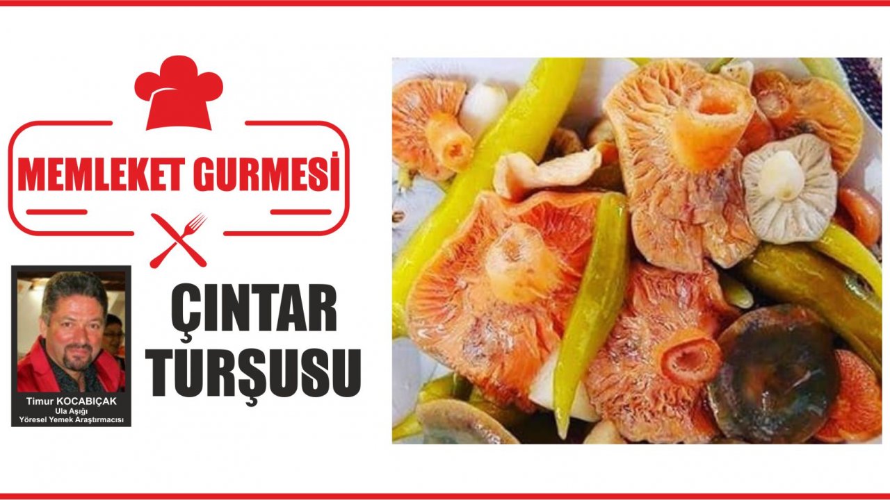 ÇINTAR  TURŞUSU
