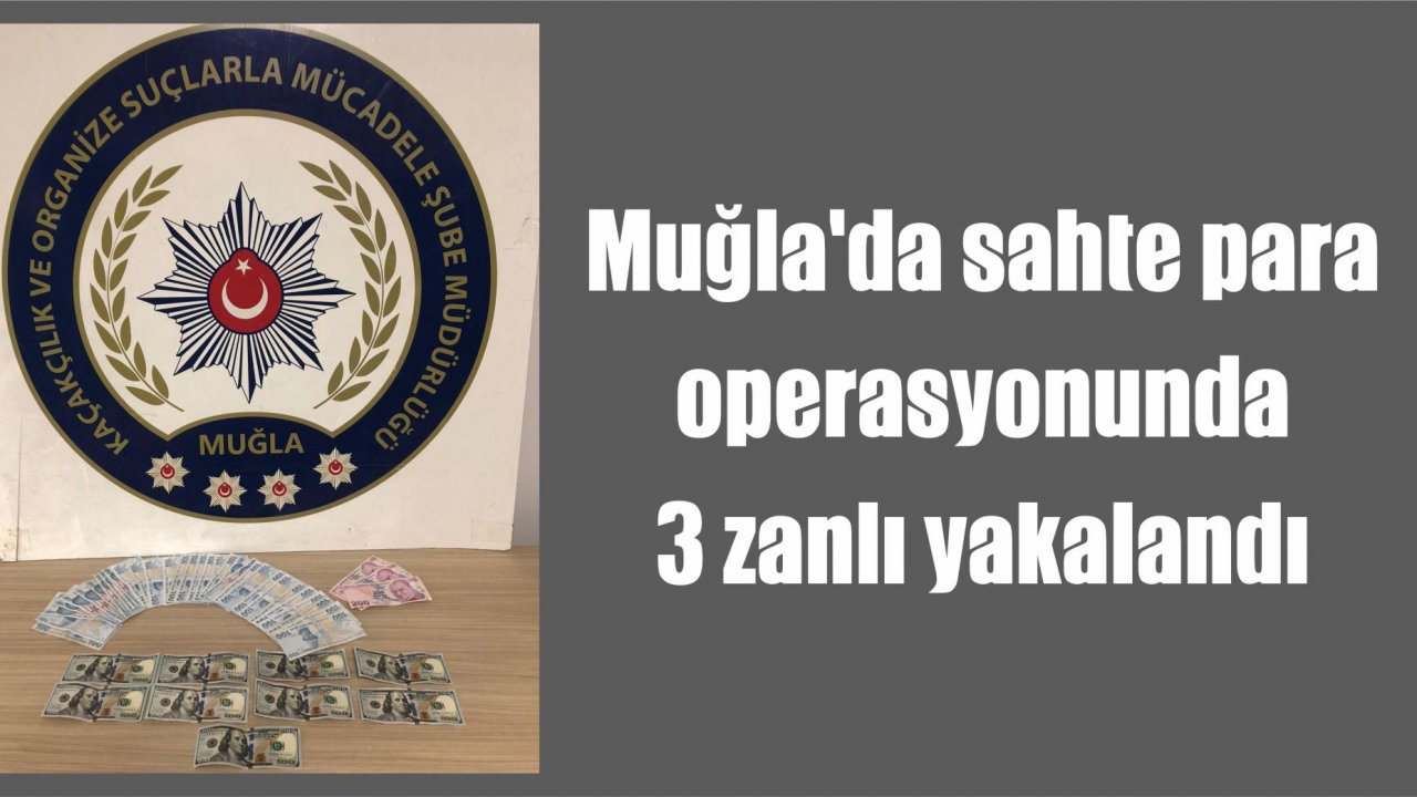 Muğla'da sahte para operasyonunda 3 zanlı yakalandı