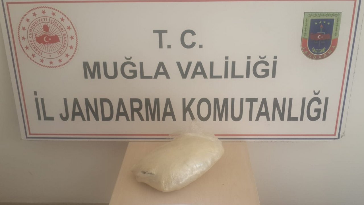 Çiçek saksısında esrar yakalandı