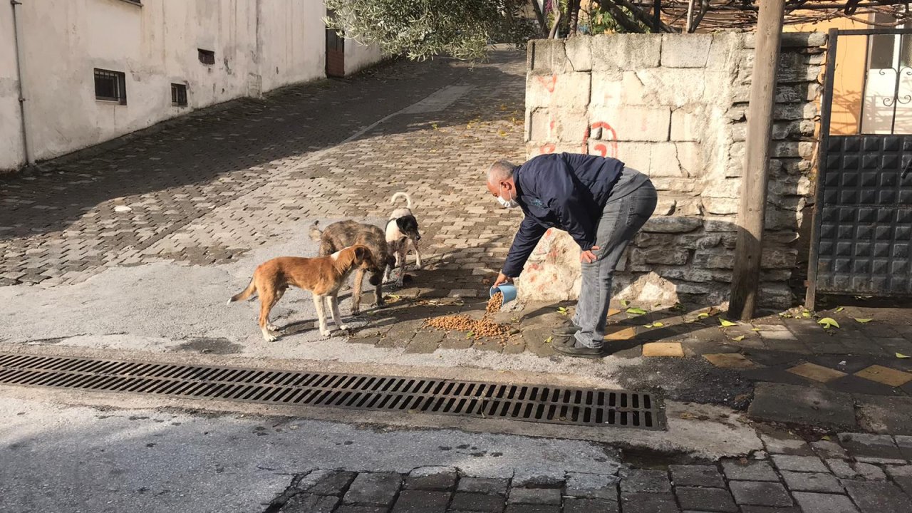 Minik dostlar unutulmuyor