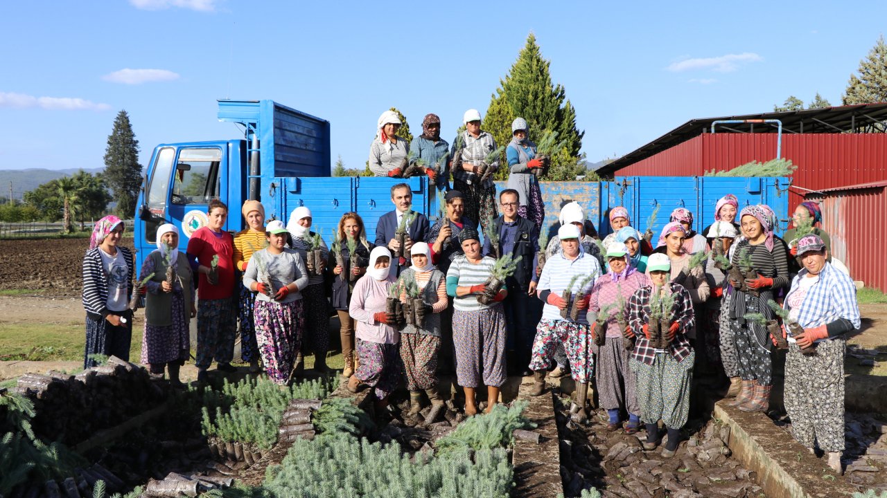 9 milyon 800 bin fidan ürettildi