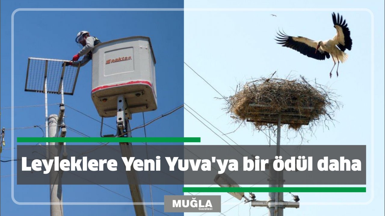 Leyleklere Yeni Yuva’ya bir ödül daha