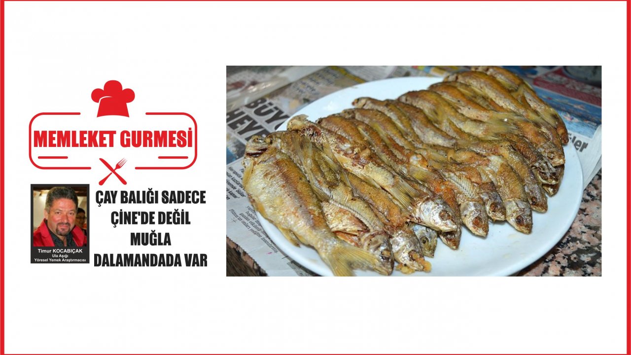 ÇAY BALIĞI SADECE ÇİNE’DE DEĞİL MUĞLA DALAMANDADA VAR