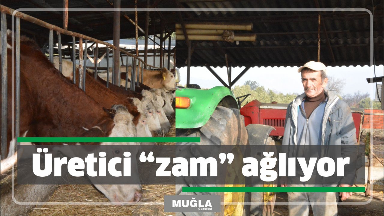 Üretici “zam” ağlıyor