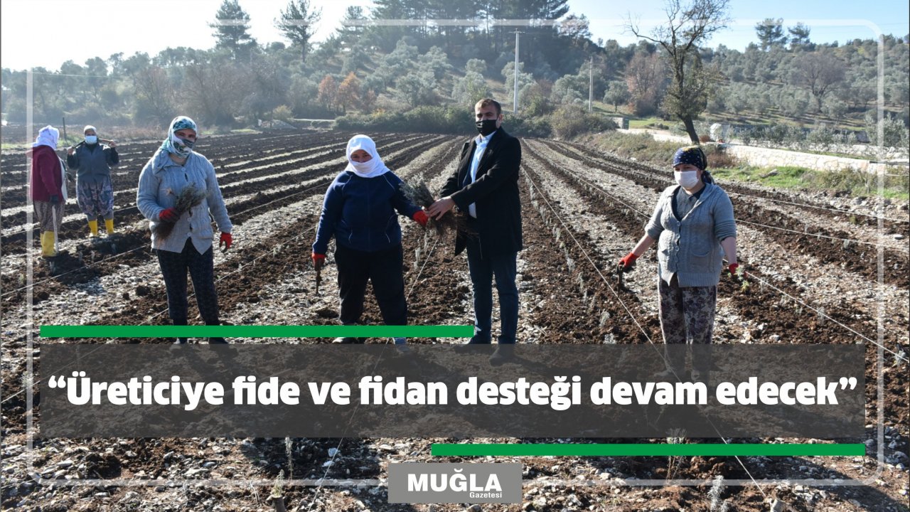 “Üreticiye fide ve fidan desteği devam edecek”
