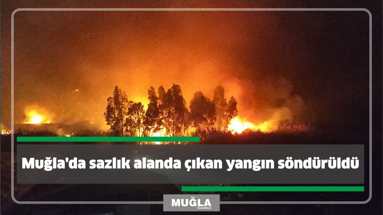 Muğla'da sazlık alanda çıkan yangın söndürüldü