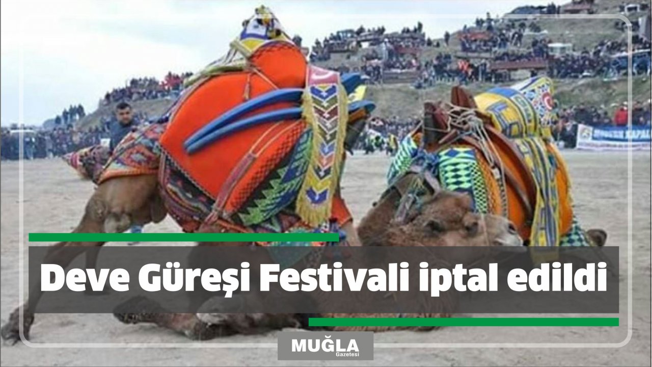 Deve Güreşi Festivali iptal edildi