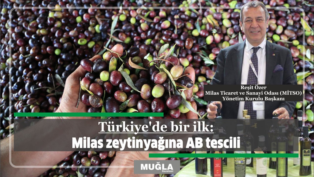 Türkiye’de bir ilk:  Milas zeytinyağına AB tescili 
