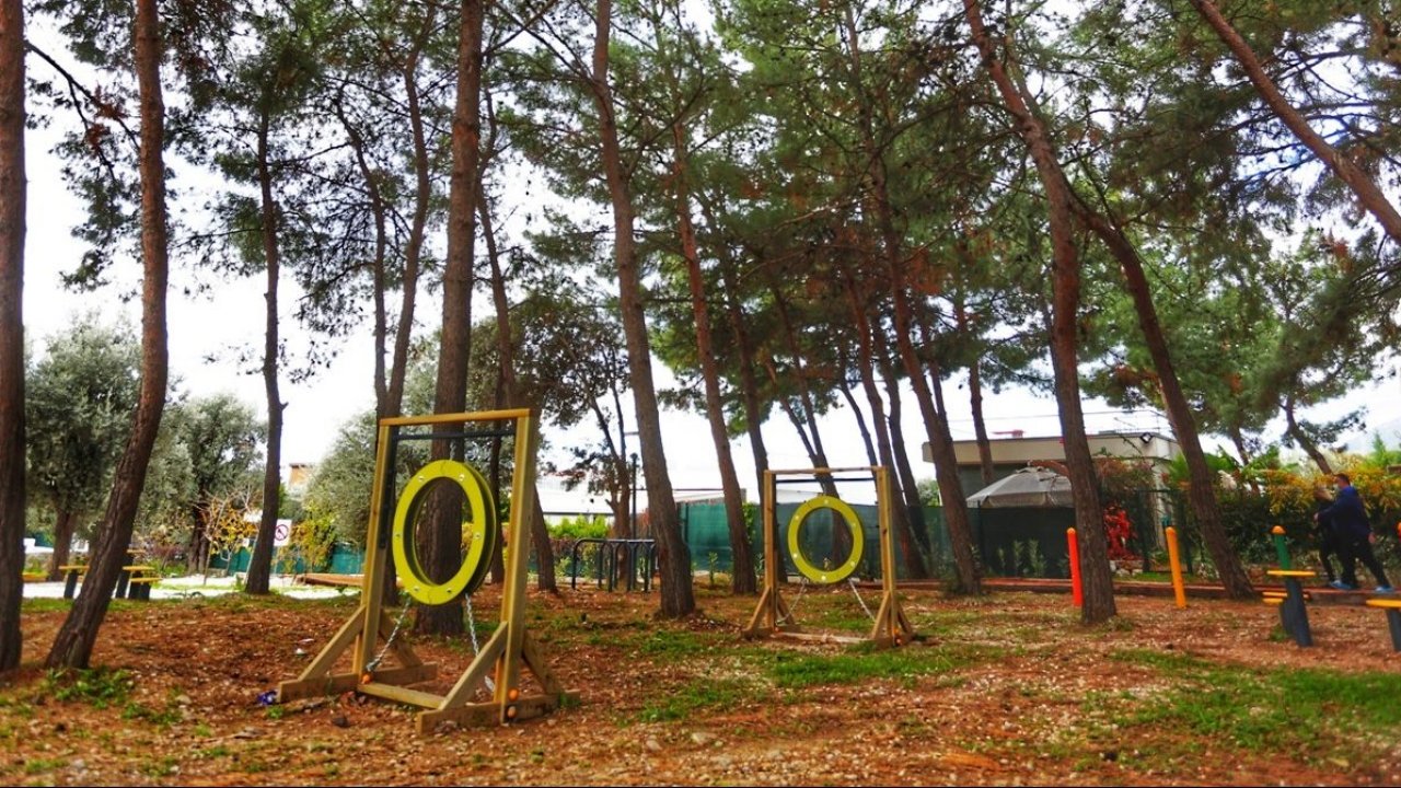 Evcil hayvanlara park ve oyun alanı yapıldı