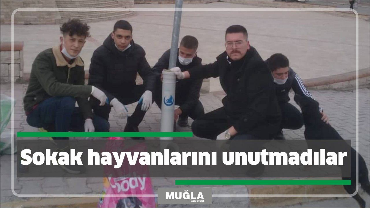 Sokak hayvanlarını unutmadılar
