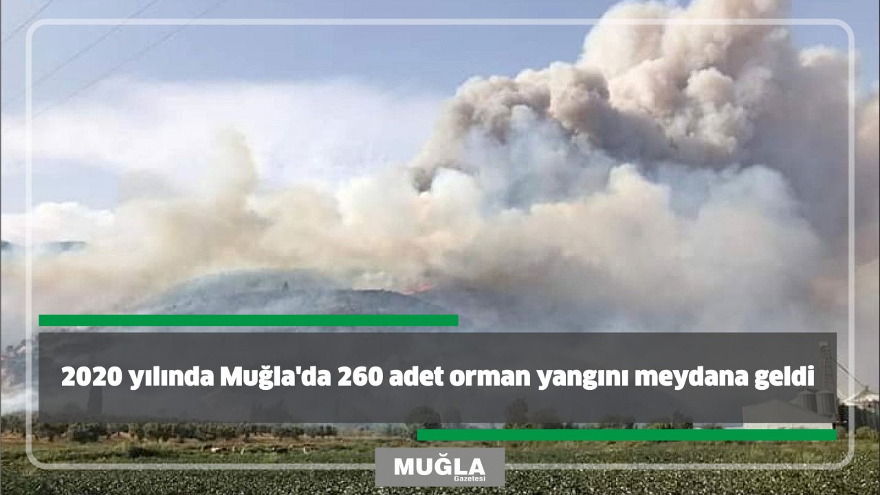 2020 yılında Muğla’da 260 adet orman yangını meydana geldi