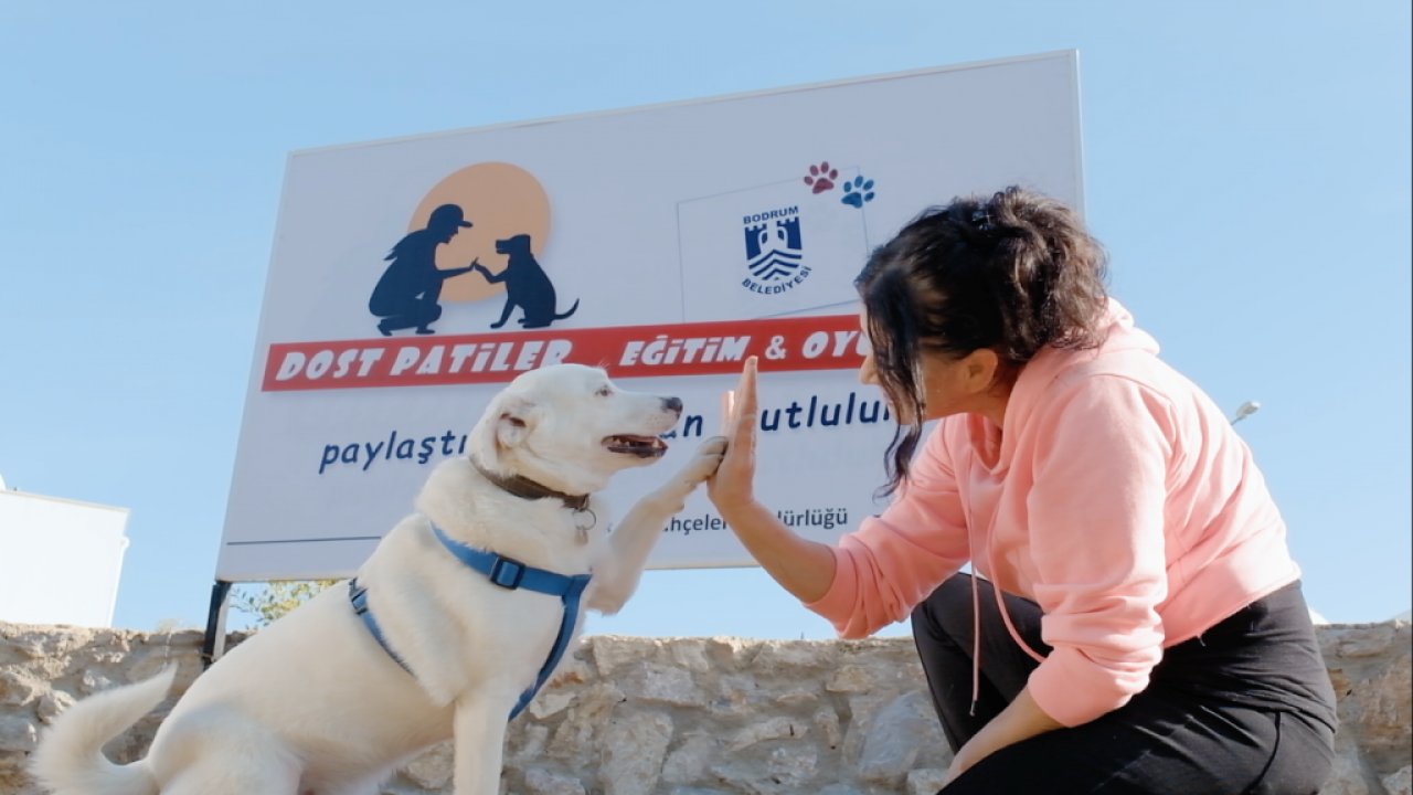 Dost Patiler Eğitim ve Oyun Parkı hayata geçti