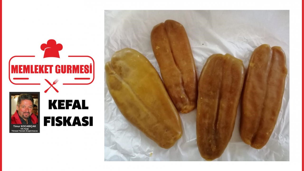 KEFAL FISKASI