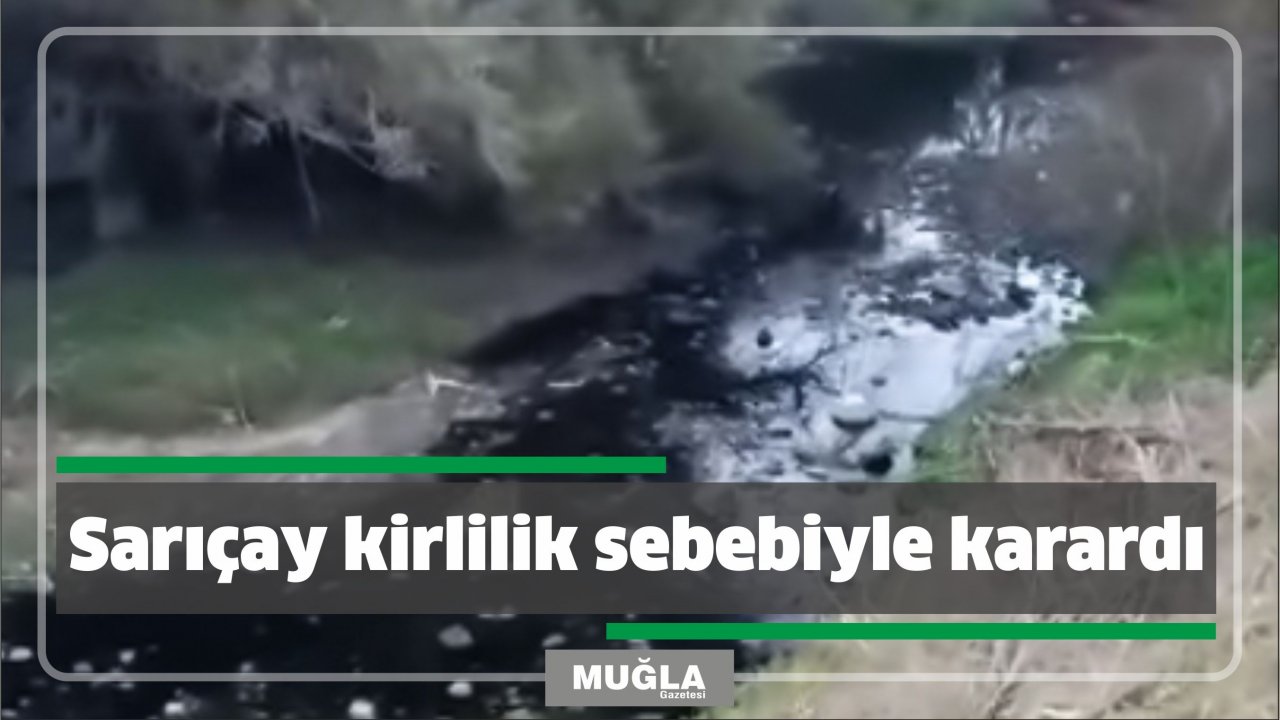 Sarıçay kirlilik sebebiyle karardı