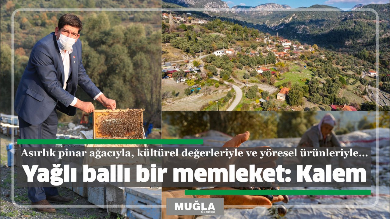 Asırlık pinar ağacıyla, kültürel değerleriyle ve yöresel ürünleriyle…  Yağlı ballı bir memleket: Kalem