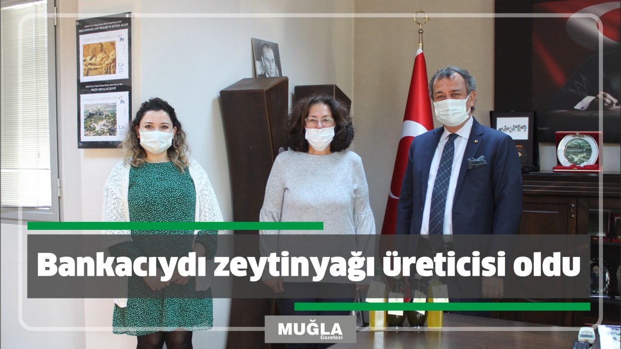 Bankacıydı zeytinyağı üreticisi oldu