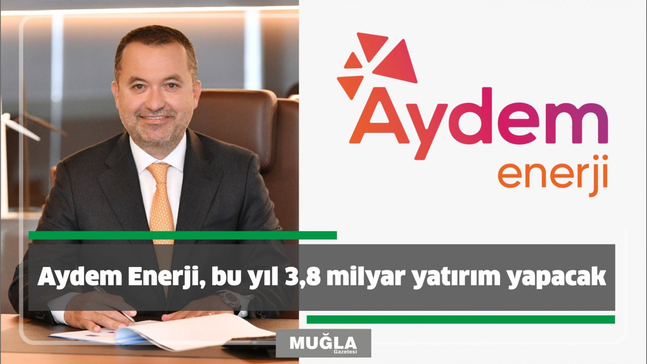 Aydem Enerji, bu yıl 3,8 milyar yatırım yapacak