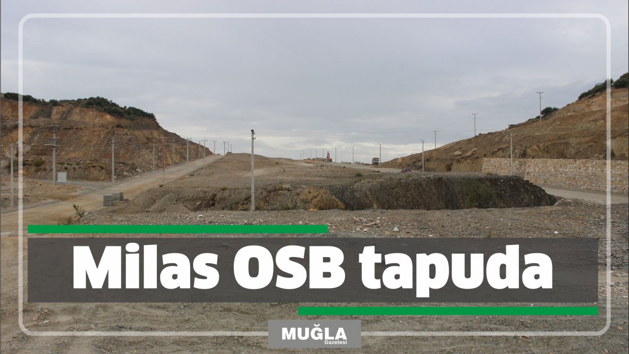 Milas OSB tapuda