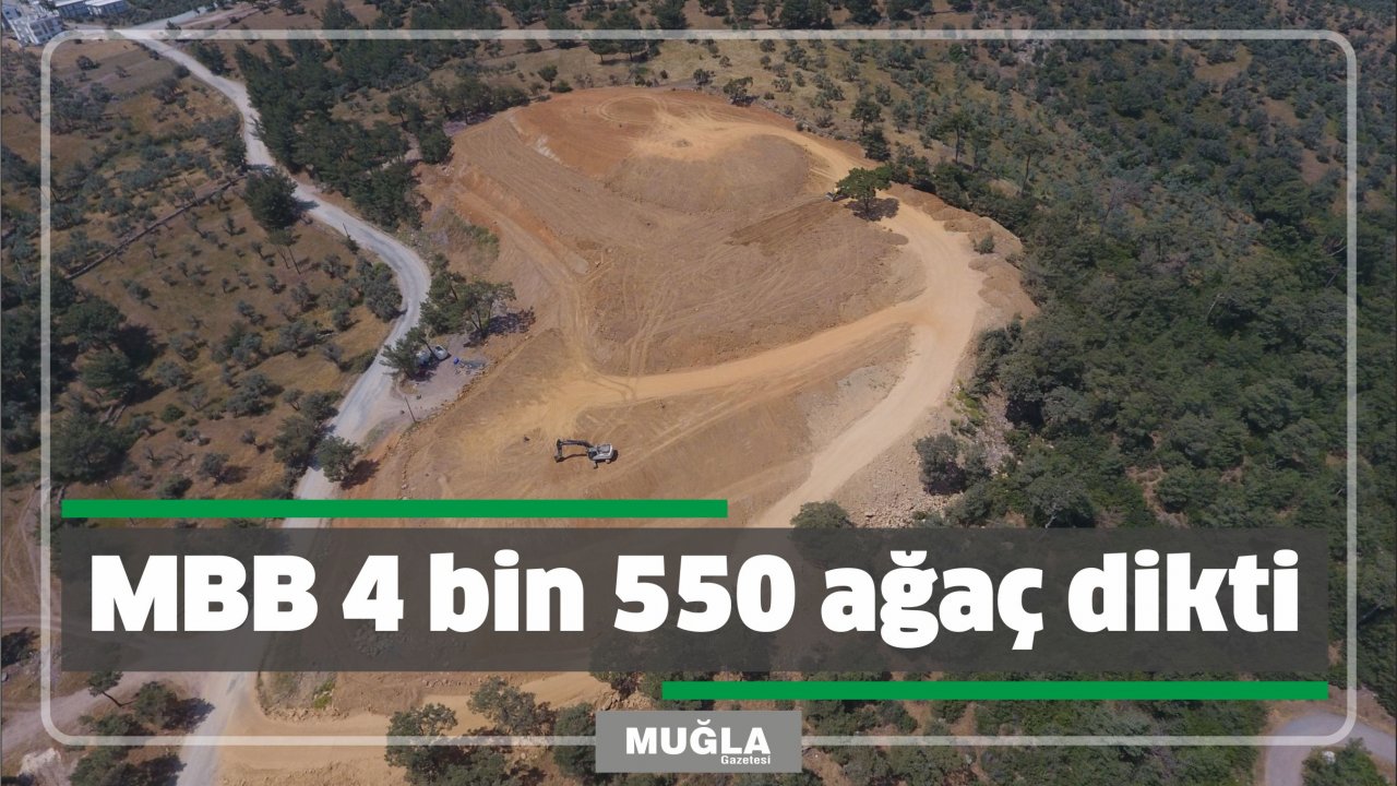 MBB 4 bin 550 ağaç dikti