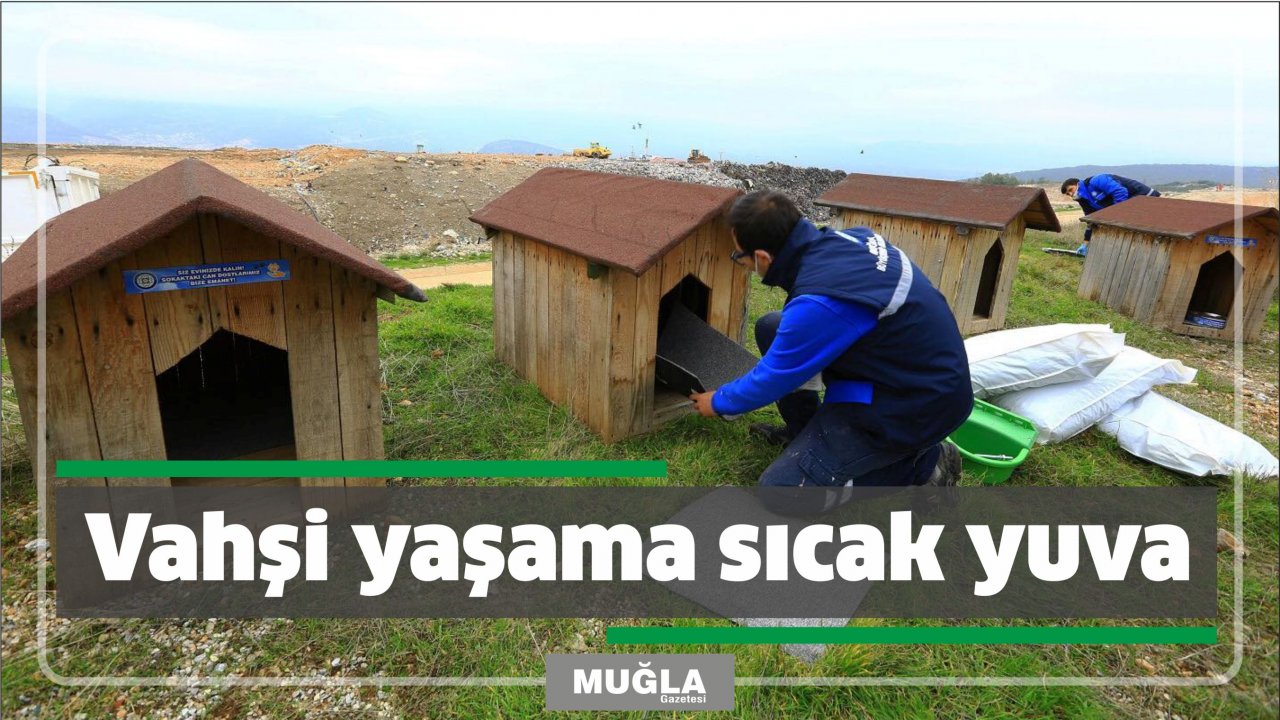 Vahşi yaşama sıcak yuva
