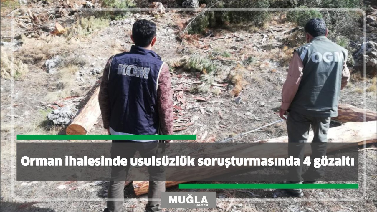 Orman ihalesinde usulsüzlük soruşturmasında 4 gözaltı