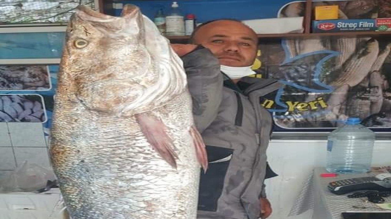 Boyu kadar balık yakaladı