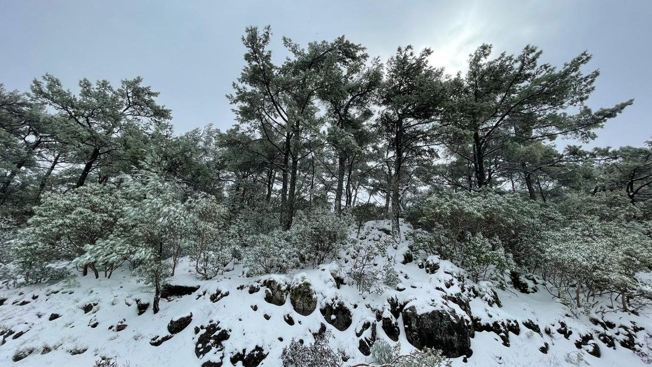 Muğla'nın Datça ilçesinde yüksek kesimler beyaza büründü