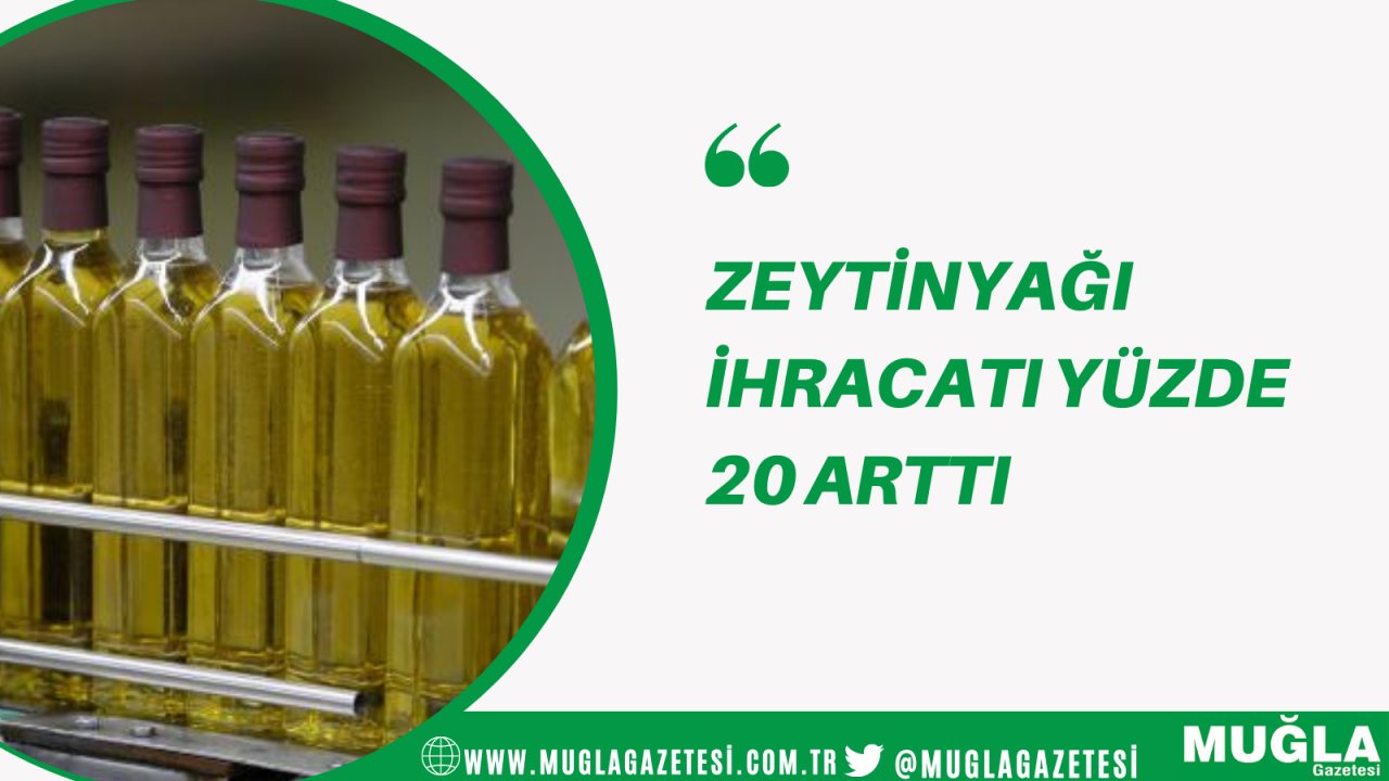 Zeytinyağı ihracatı yüzde 20 arttı