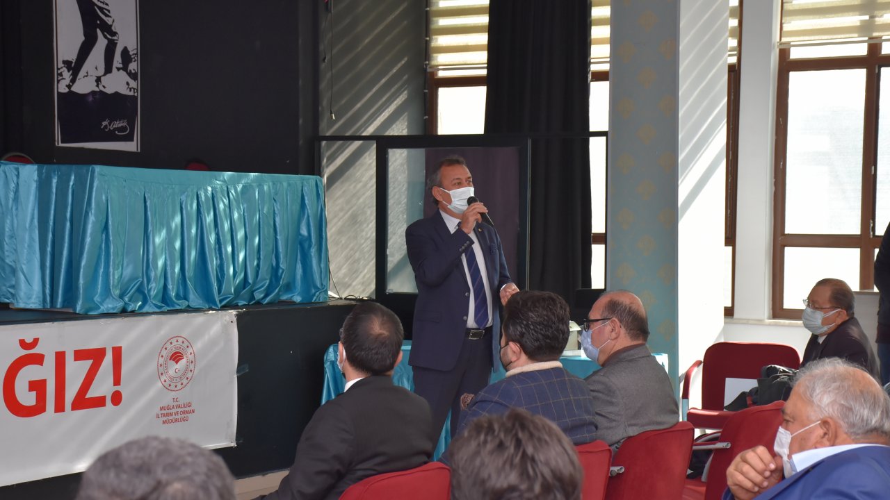 Zeytin üretiminde verimsizliğe karşı mücadele