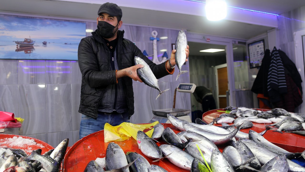 Muğla'dan 78 ülkeye balık ihraç edildi