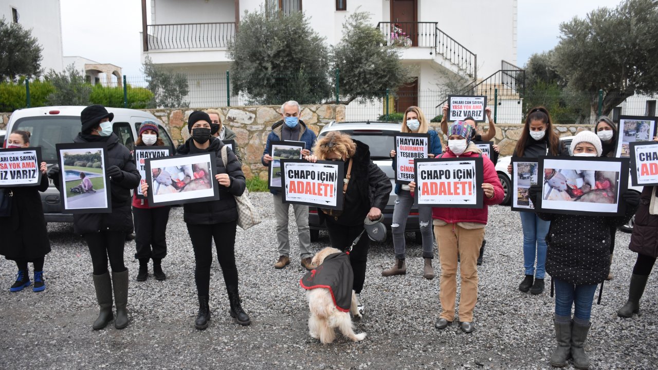 Genç kıza saldırdığı ileri sürülen köpeğin kamyonetle ezilmesi protesto edildi