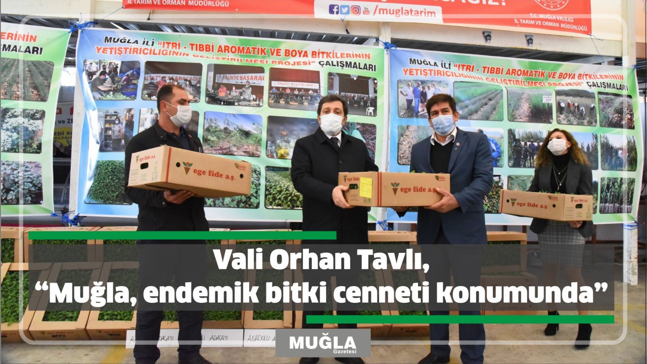 Vali Orhan Tavlı, “Muğla, endemik bitki cenneti konumunda”