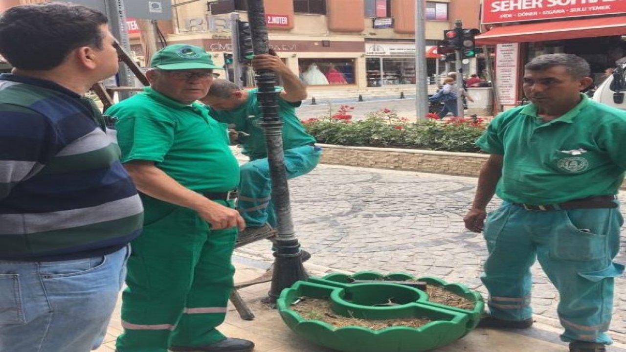 Milas'ta çiçekler aydınlatmalarda soldu