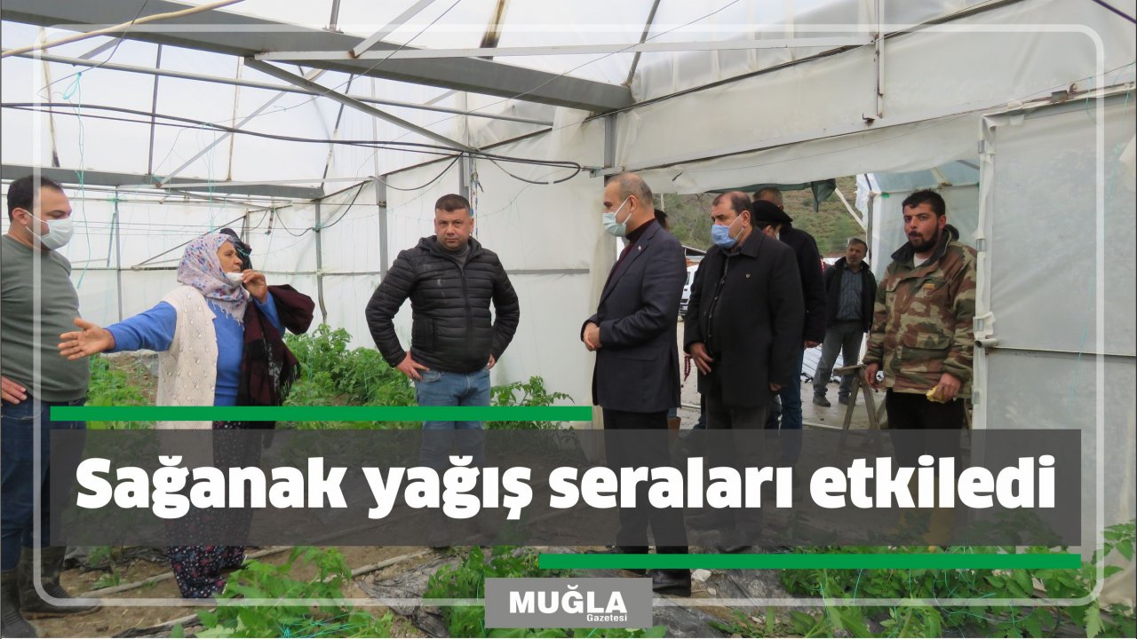 Sağanak yağış seraları etkiledi