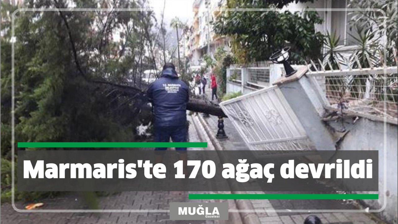Marmaris’te 170 ağaç devrildi