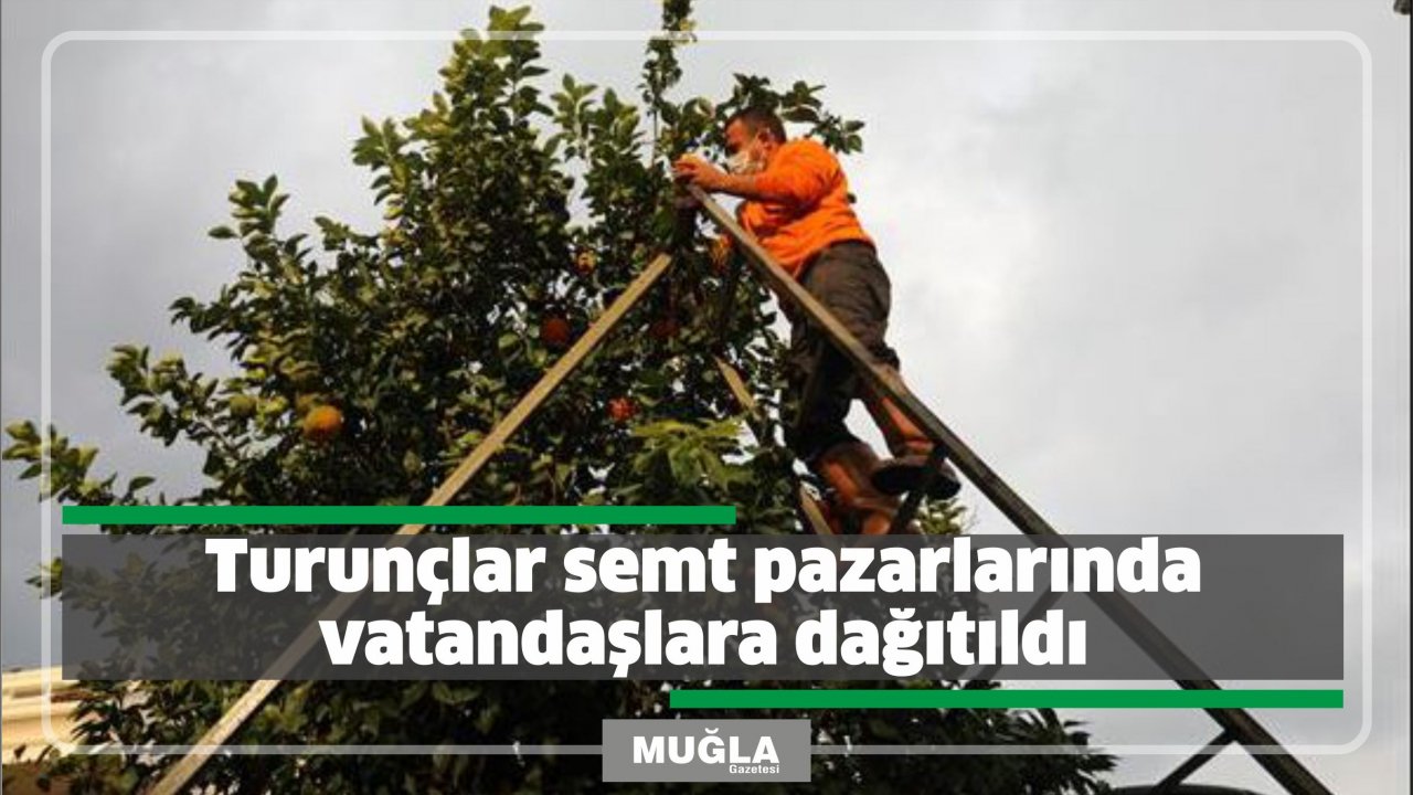 Turunçlar semt pazarlarında vatandaşlara dağıtıldı