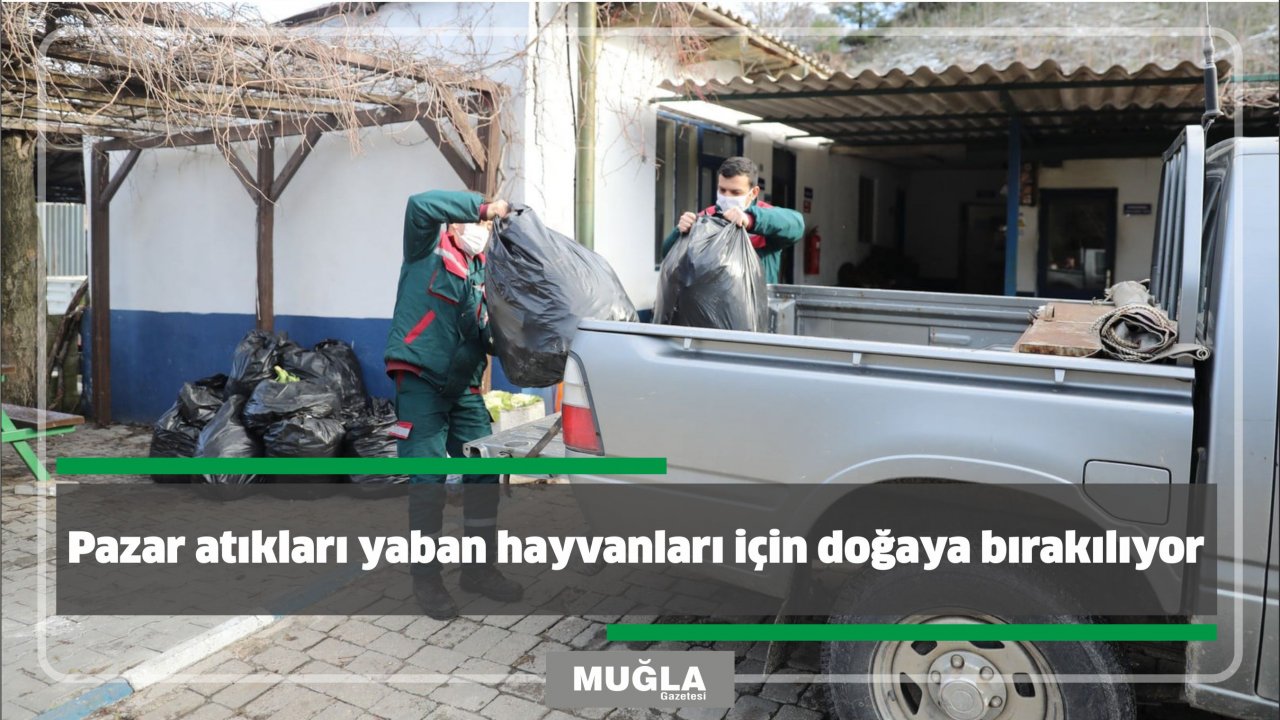 Pazar atıkları yaban hayvanları için doğaya bırakılıyor