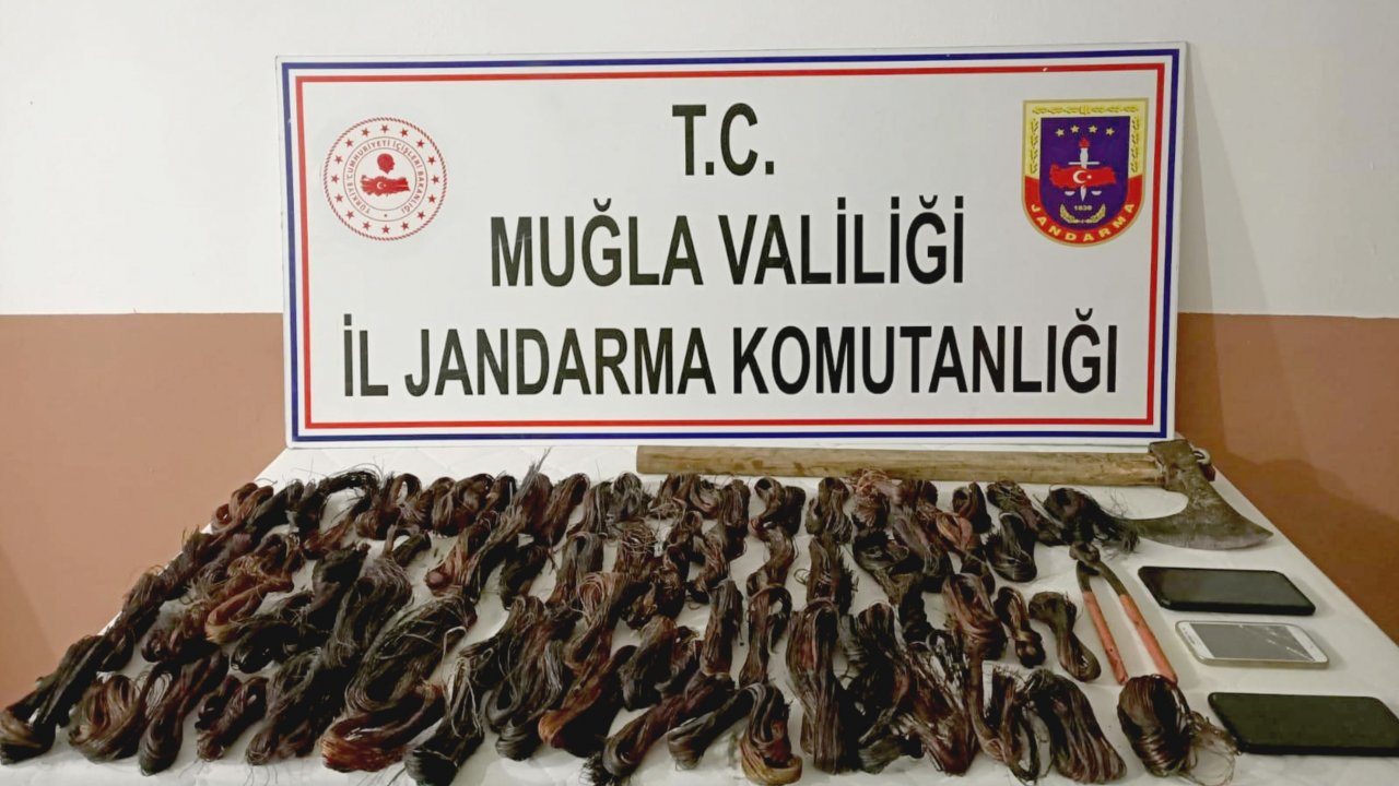 Seydikemer’de kablo hırsızlığı operasyonu