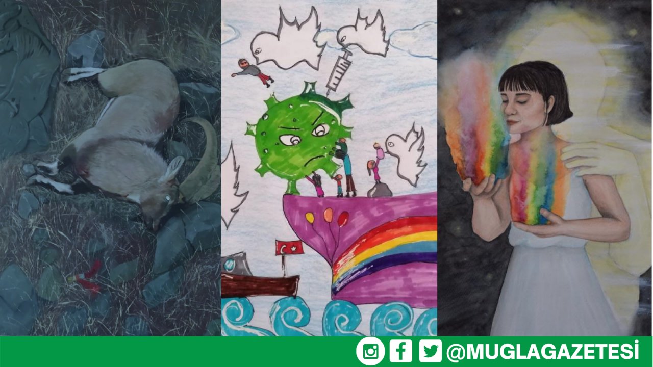 Ödüllü resim yarışması sonuçlandı