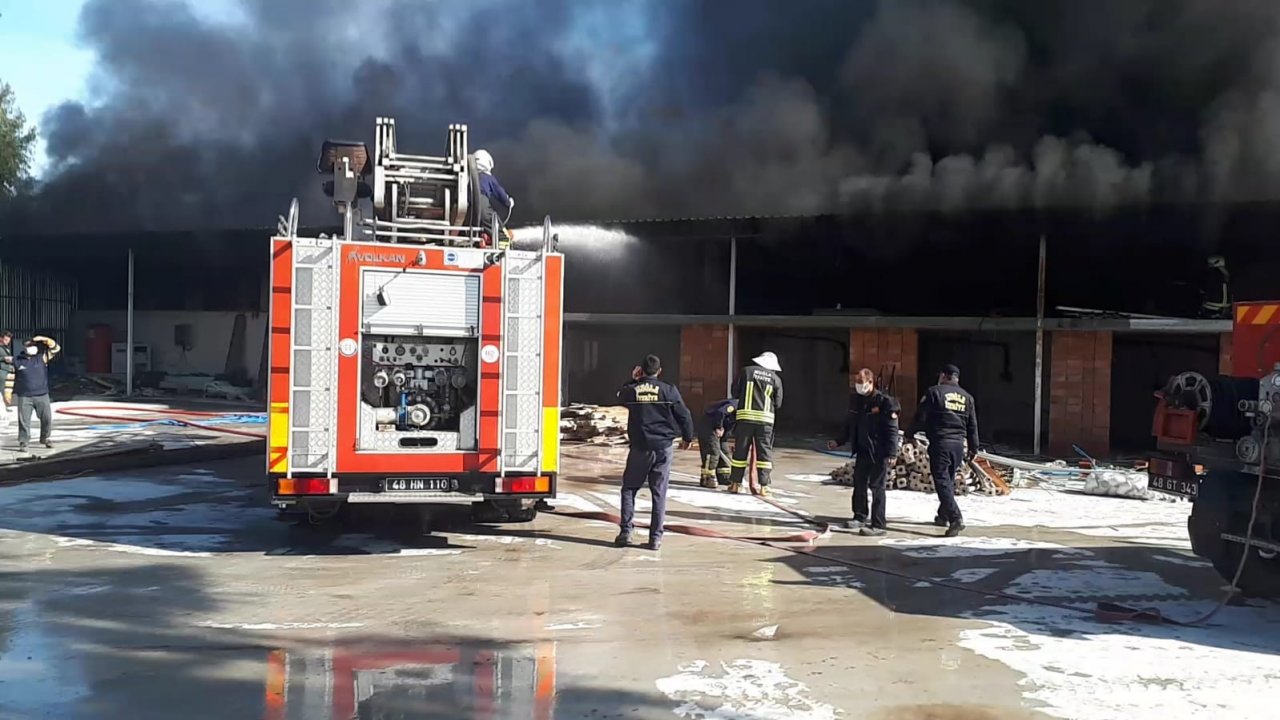 Fidan üretim tesisinde çıkan yangın söndürüldü