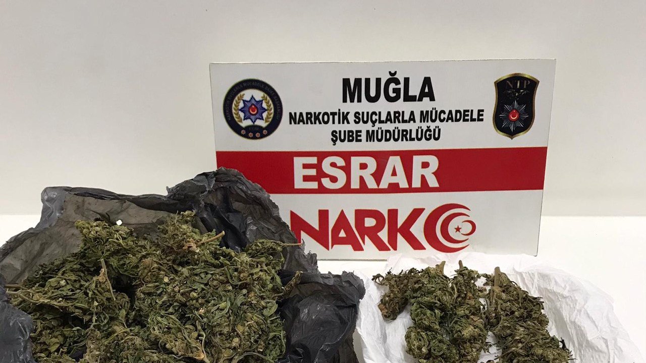 Uyuşturucu operasyonunda 5 şahıs gözaltına alındı