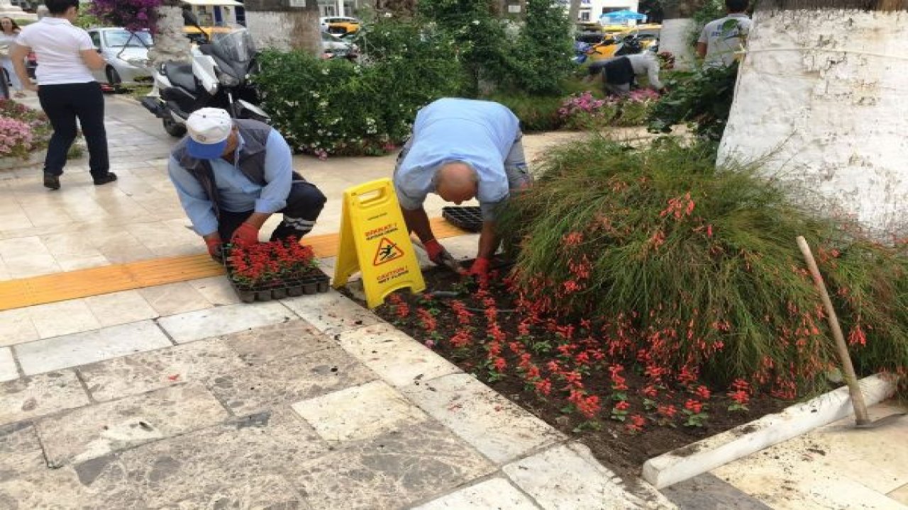 Bodrum yaza rengarenk giriyor