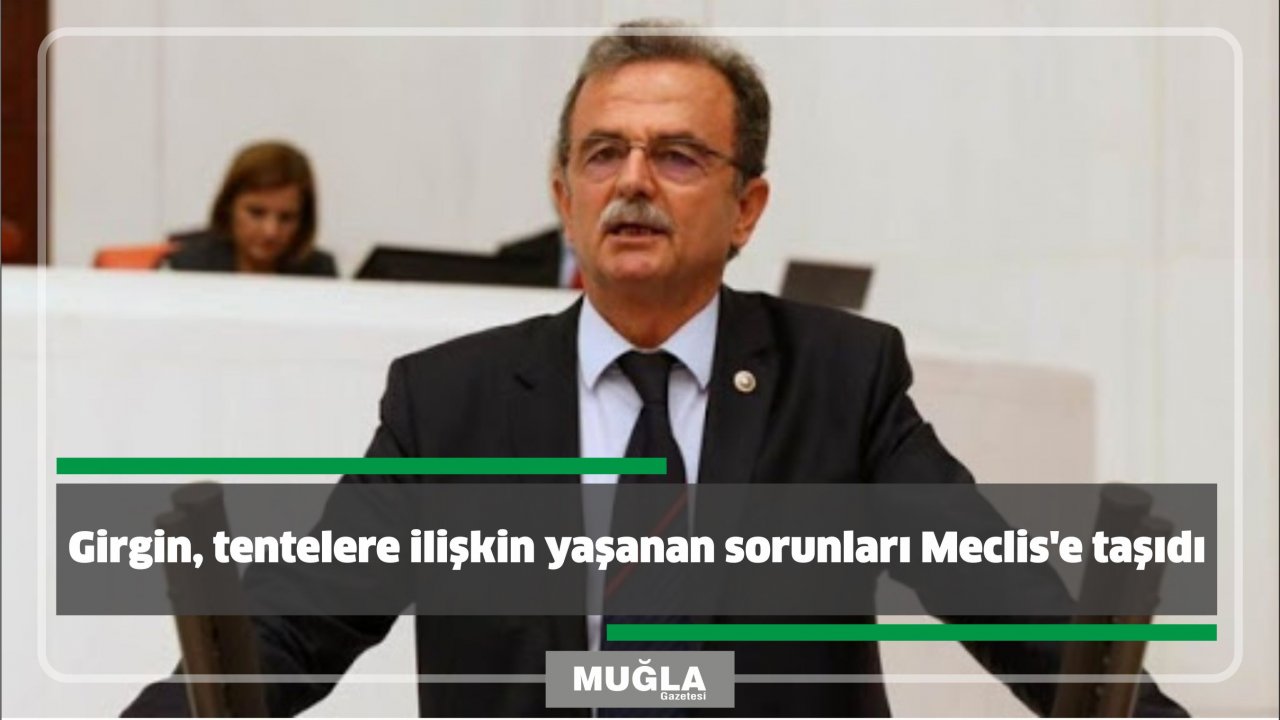 Girgin, tentelere ilişkin yaşanan sorunları Meclis’e taşıdı